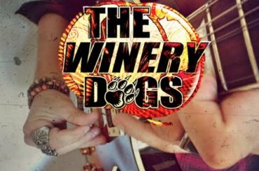 The Winery Dogs - Desire (Cover without Pick)