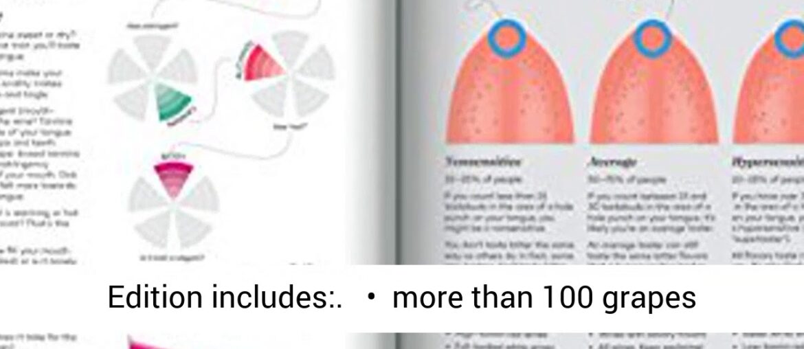 Wine Folly: Magnum Edition: The Master Guide - REVIEW