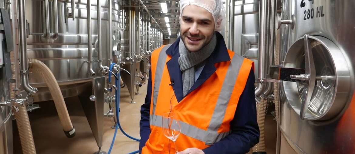 Louis Bouillot - Crémant de Bourgogne, Nuits-Saint George in Burgundy