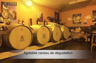 LOT - Propriété Viticole