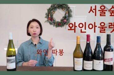 서울숲 와인 아울렛 와인 추천 5종 - 특이한 와인 좋아하는 와인 덕후 모여라!