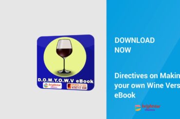 Directives on Making your own Wine Version eBook