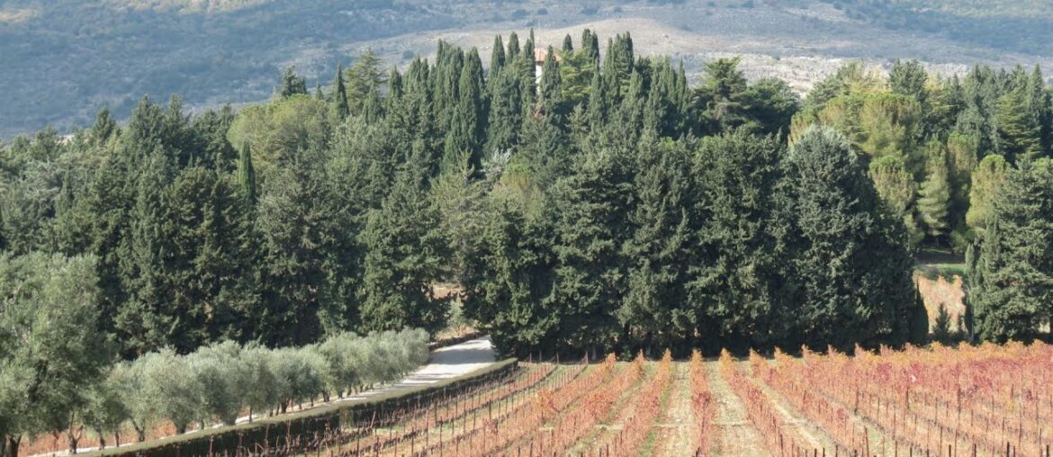 #WineTour #WestBekaa 07-12-2019 #WineTour #WestBekaa 07-12-2019