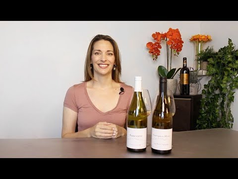 Sancerre vs Sauvignon Blanc Teaser Sancerre vs Sauvignon Blanc Teaser