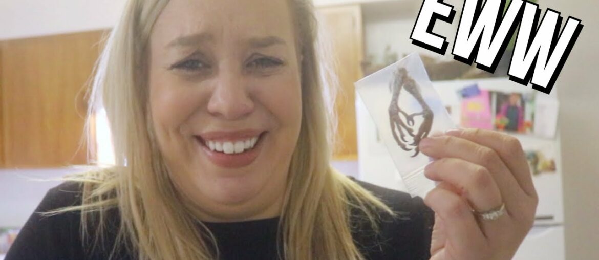 I Bought Parrot Feet | VLOGMUCH 8 & 9