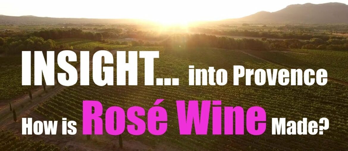 What is Rosé Wine? How it's Made | Grape Harvest in Provence What is Rosé Wine? How it's Made | Grape Harvest in Provence