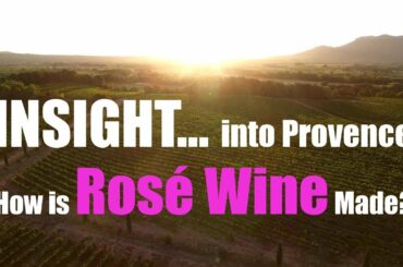 What is Rosé Wine? How it's Made | Grape Harvest in Provence