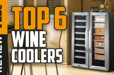 ✅Wine Cooler: Best Wine Cooler (Buying Guide)
