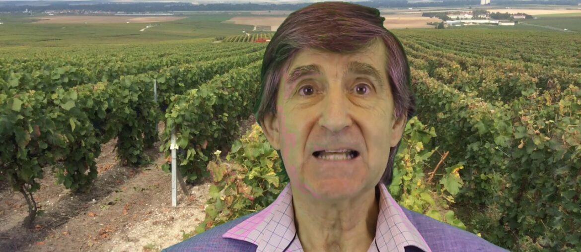 Welcome to My Champagne Expert