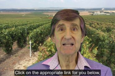 Welcome to My Champagne Expert