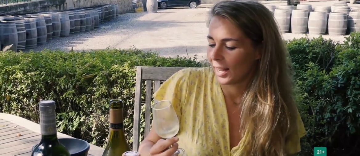 Take a journey through World Wine: Southern French wine