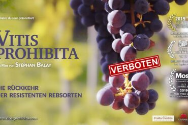 VITIS PROHIBITA - Trailer mit deutschen Untertiteln