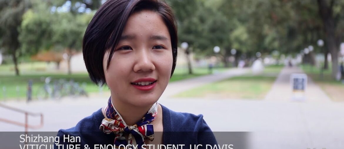 Chinese Embrace Western Wine Culture