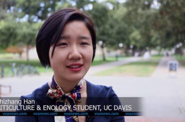 Chinese Embrace Western Wine Culture