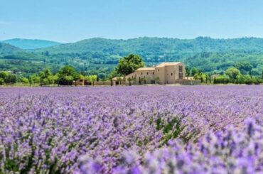 Splendid Villa Rental Available in Bonnieux Provence France
