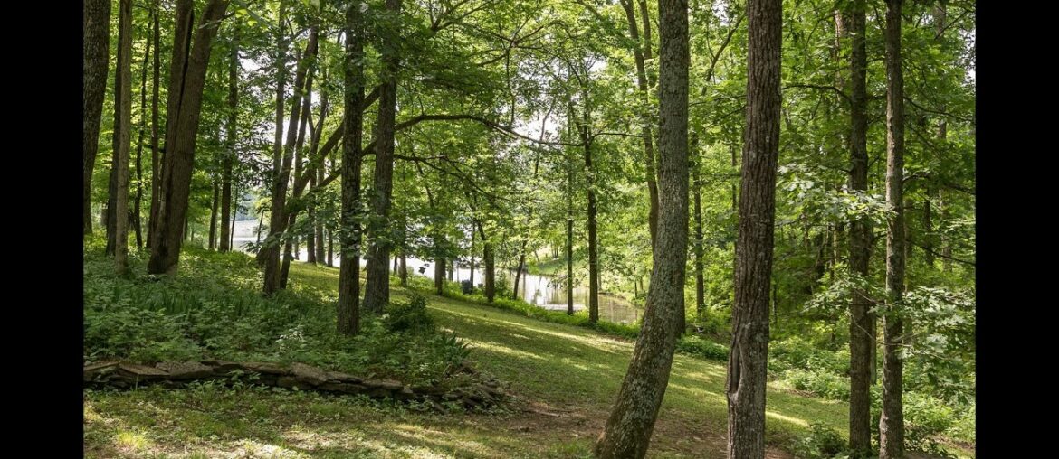 Lake home for sale - 234 Victoria Way Georgetown KY