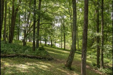 Lake home for sale - 234 Victoria Way Georgetown KY