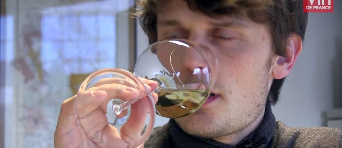 Les coups de coeur de la Revue du vin de France dans la sélection de vins du Rhône d'iDealwine