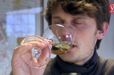 Les coups de coeur de la Revue du vin de France dans la sélection de vins du Rhône d'iDealwine