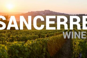 Learn Wine in 1 Minute -Regions - Loire Valley -Sancerre -High Definition Short Lesson for Beginners