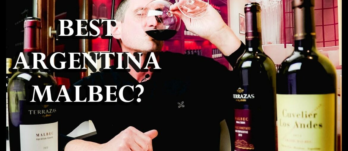 $20 Malbec Vs. $100 Malbec | Which Argentina Wine Should You Buy? | TWJ_Ep#23 $20 Malbec Vs. $100 Malbec | Which Argentina Wine Should You Buy? | TWJ_Ep#23