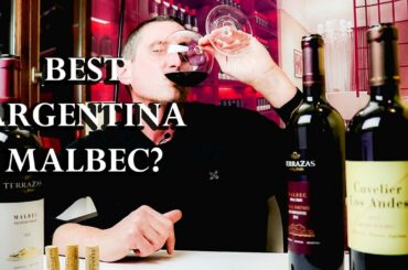 $20 Malbec Vs. $100 Malbec | Which Argentina Wine Should You Buy? | TWJ_Ep#23