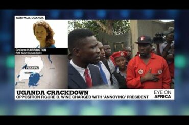 Opposition figure Bobi Wine charged with 'annoying' President Museveni