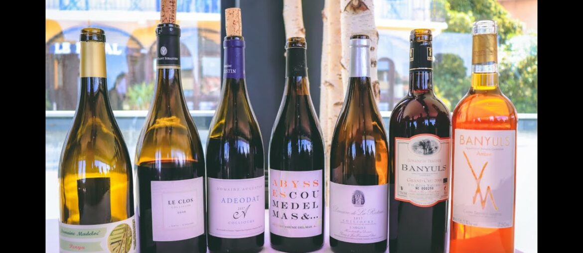 The Wines of Roussillon - Masters of Wine Talk about Roussillon Wine Part.3