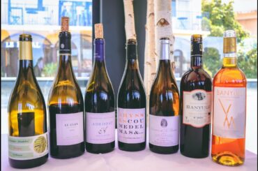 The Wines of Roussillon - Masters of Wine Talk about Roussillon Wine Part.3