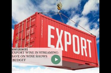 🍷Export wine in STREAMING 2, without any wine exhibitions