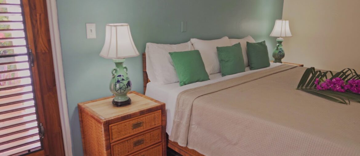 Coral Reef Coral Reef