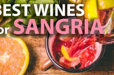 The 10 BEST WINE TYPES for Red & White Sangria