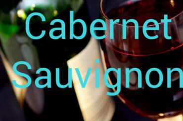 Sommelier 101 - varietals by region - United States