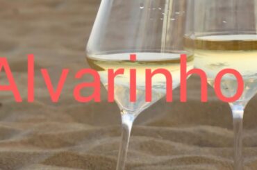 Sommelier 101 - wine pronunciation 16 wines