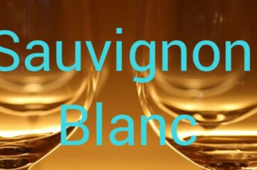 Sommelier 101 - wine pronunciation for 10 wines