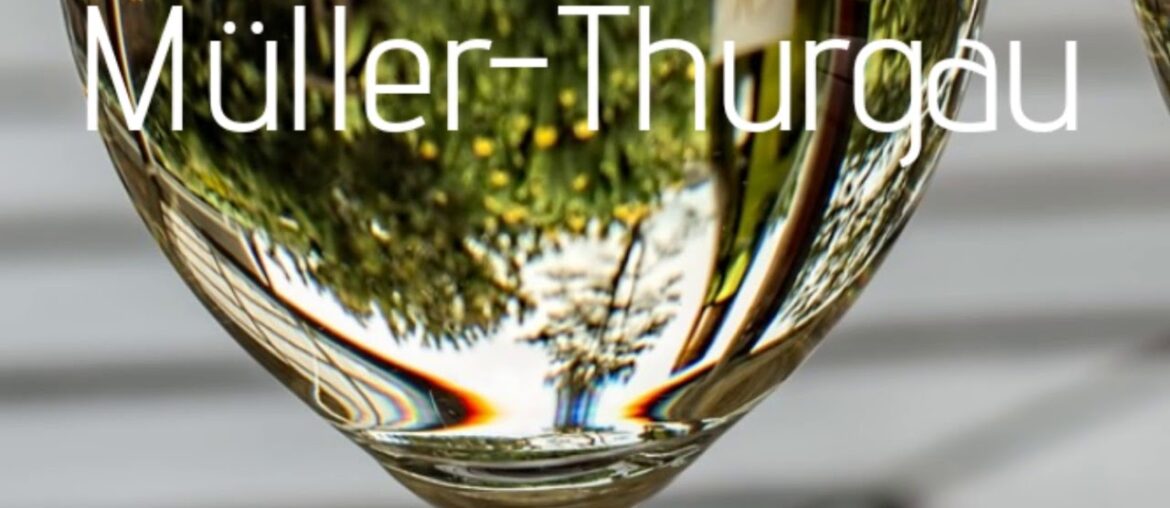 Sommelier 101 - wine pronunciation