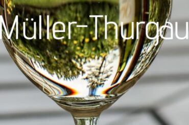 Sommelier 101 - wine pronunciation