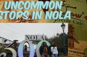 New Orleans Vlog : Things You Gotta Try in the French Quarter Day 1