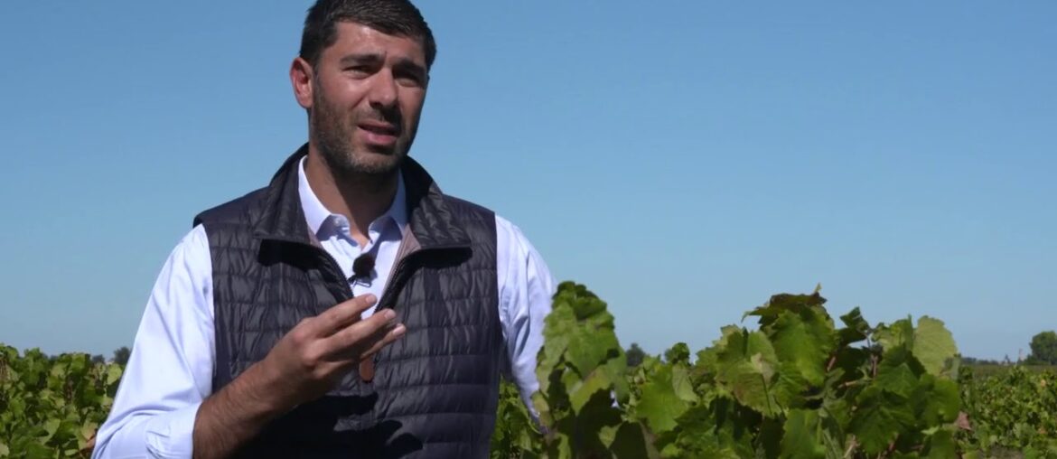 Château Talbot - la vigne en héritage, France