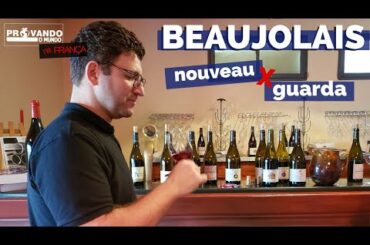 Provando vinho Beaujolais na fonte!