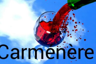 How to pronounce carmenere.  Wine terminology.
