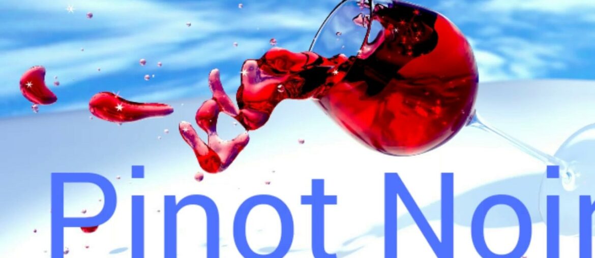 How to pronounce pinot noir. Wine terminology. How to pronounce pinot noir. Wine terminology.