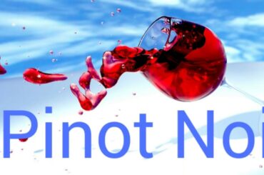 How to pronounce pinot noir.  Wine terminology.