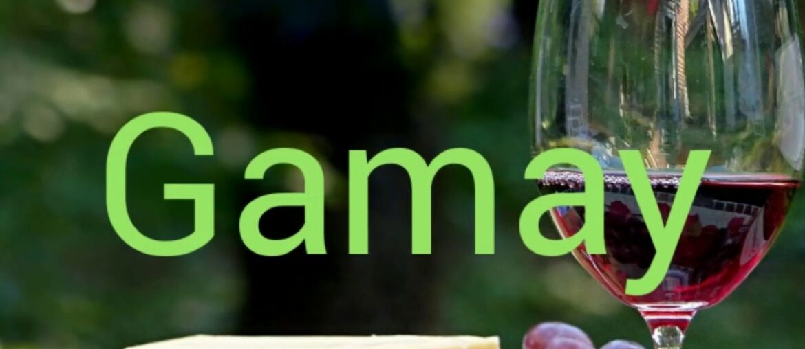 How to pronounce gamay. Wine terminology. How to pronounce gamay. Wine terminology.