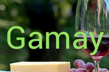 How to pronounce gamay. Wine terminology.