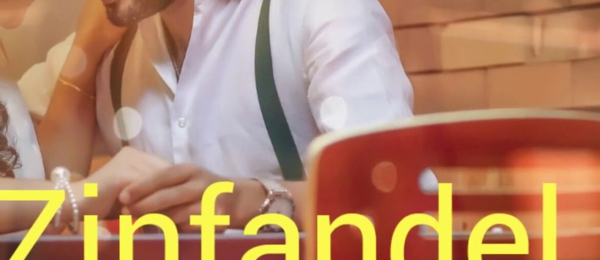 How to pronounce zinfandel. Wine terminology.