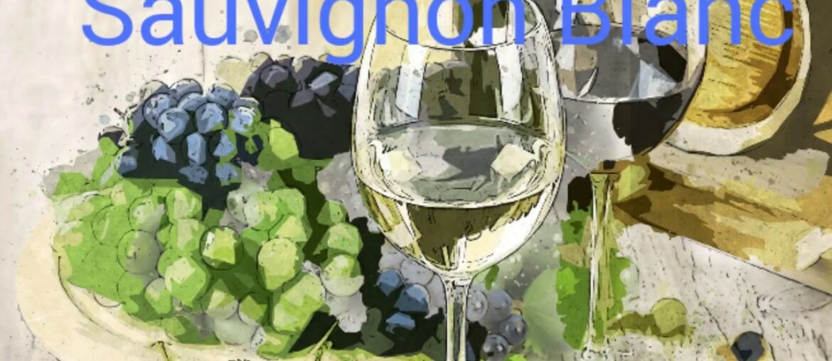How to pronounce sauvignon blanc. Wine terminology.