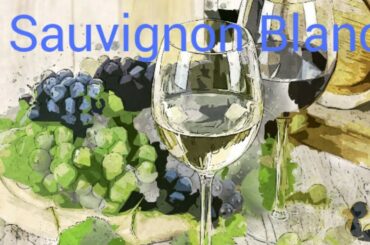 How to pronounce sauvignon blanc. Wine terminology.
