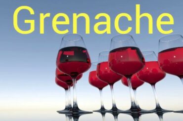 How to pronounce grenache. Wine terminology.