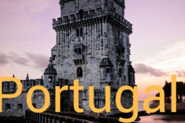 Wine grapes of Portugal, Portugal wine grapes and Portugal wines